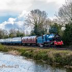 Merlin an der Royal Canal