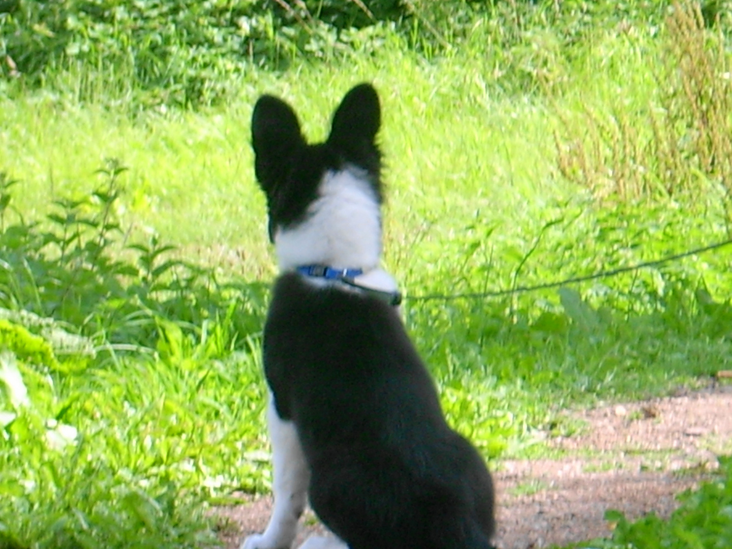 Merlin der Blick ins Tal