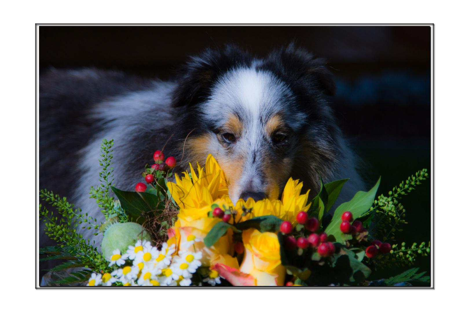 Merlin und der Blumenstrauß