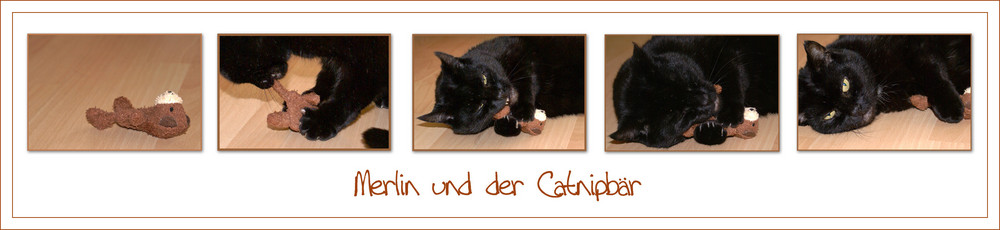 Merlin und der Catnipbär