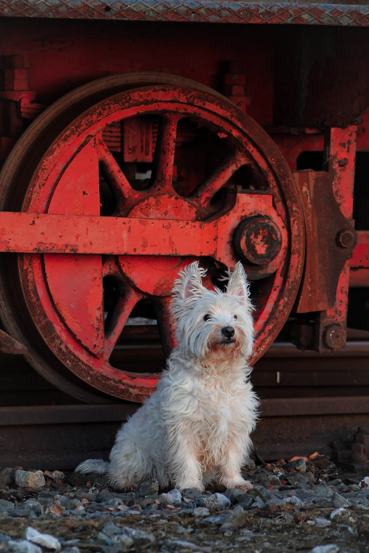 Merlin vor der alten Lokomotive 