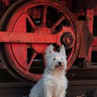 Merlin vor der alten Lokomotive 