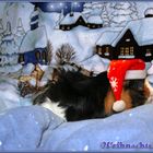 Merlin´s Weihnachtstraum...