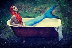 MerMaid