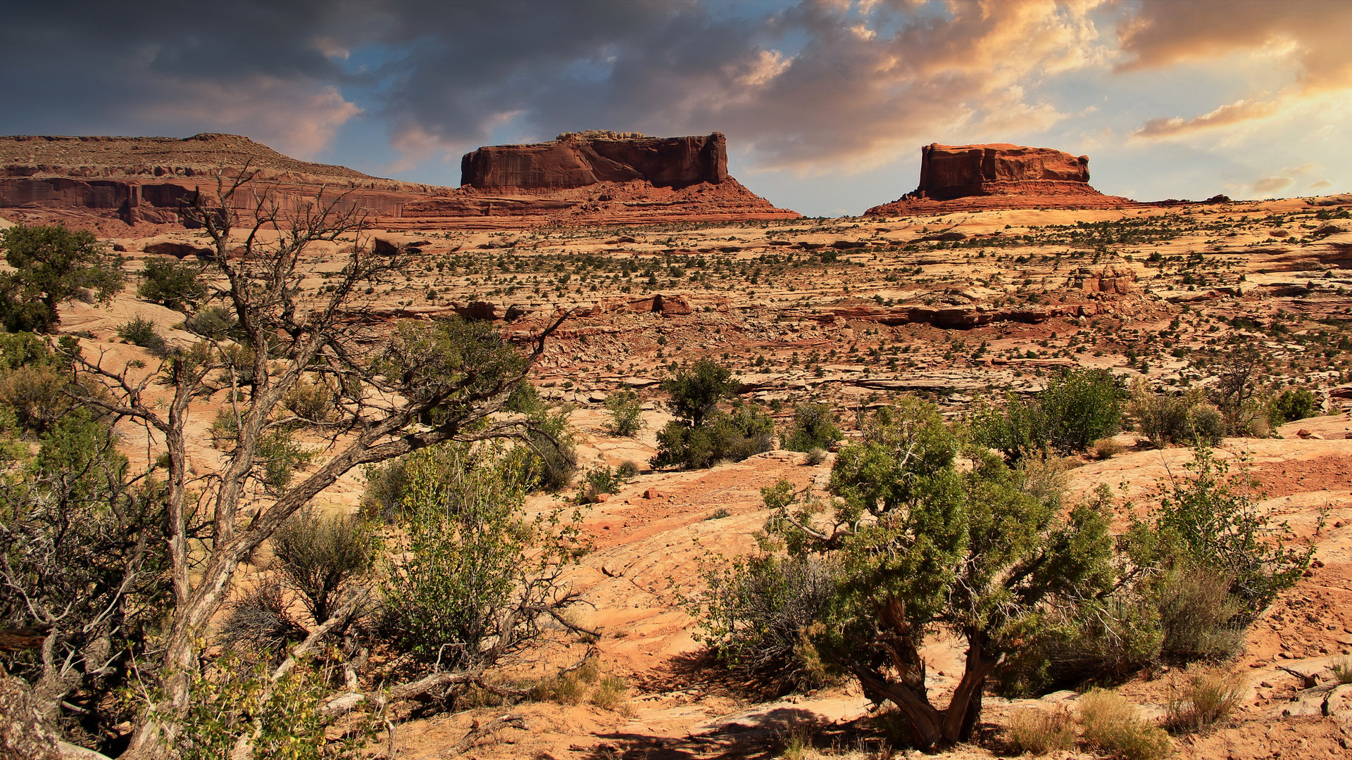 Merrimac Butte & Monitor Butte