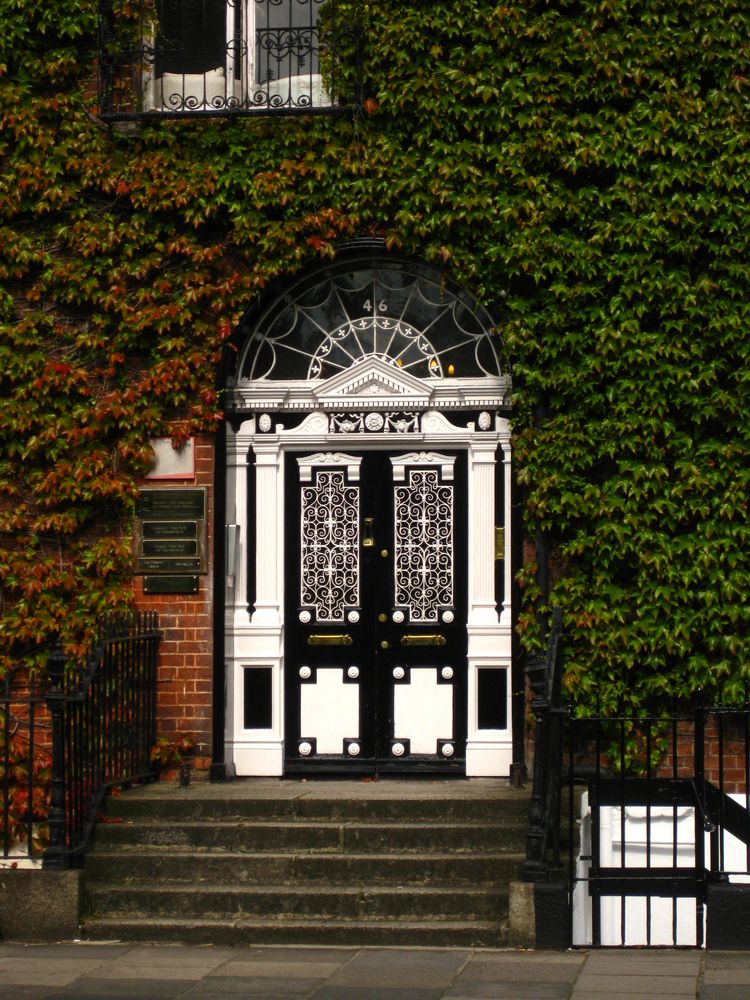 Merrion Square – Dublin Doors