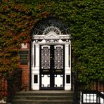 Merrion Square – Dublin Doors