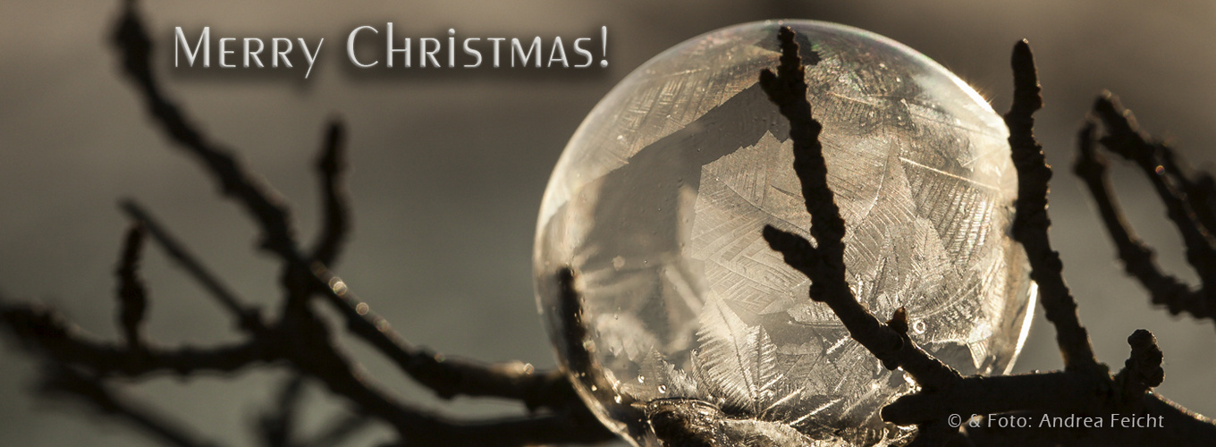 Merry Christmas! Foto &amp; Bild | gratulation und feiertage, weihnachten