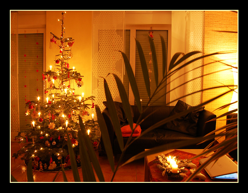 Merry Christmas 2008
