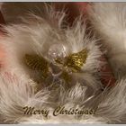 Merry Christmas!