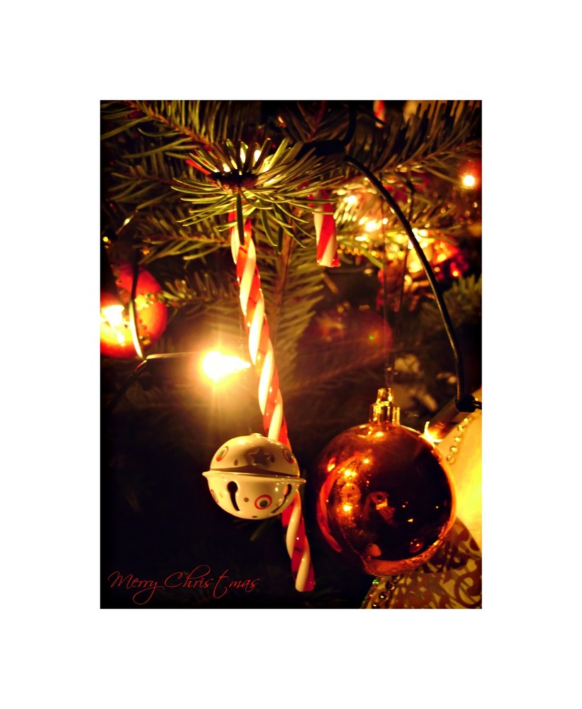 Merry Christmas Photo Image Greeting Cards Christmas