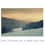 Merry Christmas and a Happy New Year 2011
