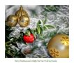 Merry Christmas and a Happy New Year by Canan Oner 