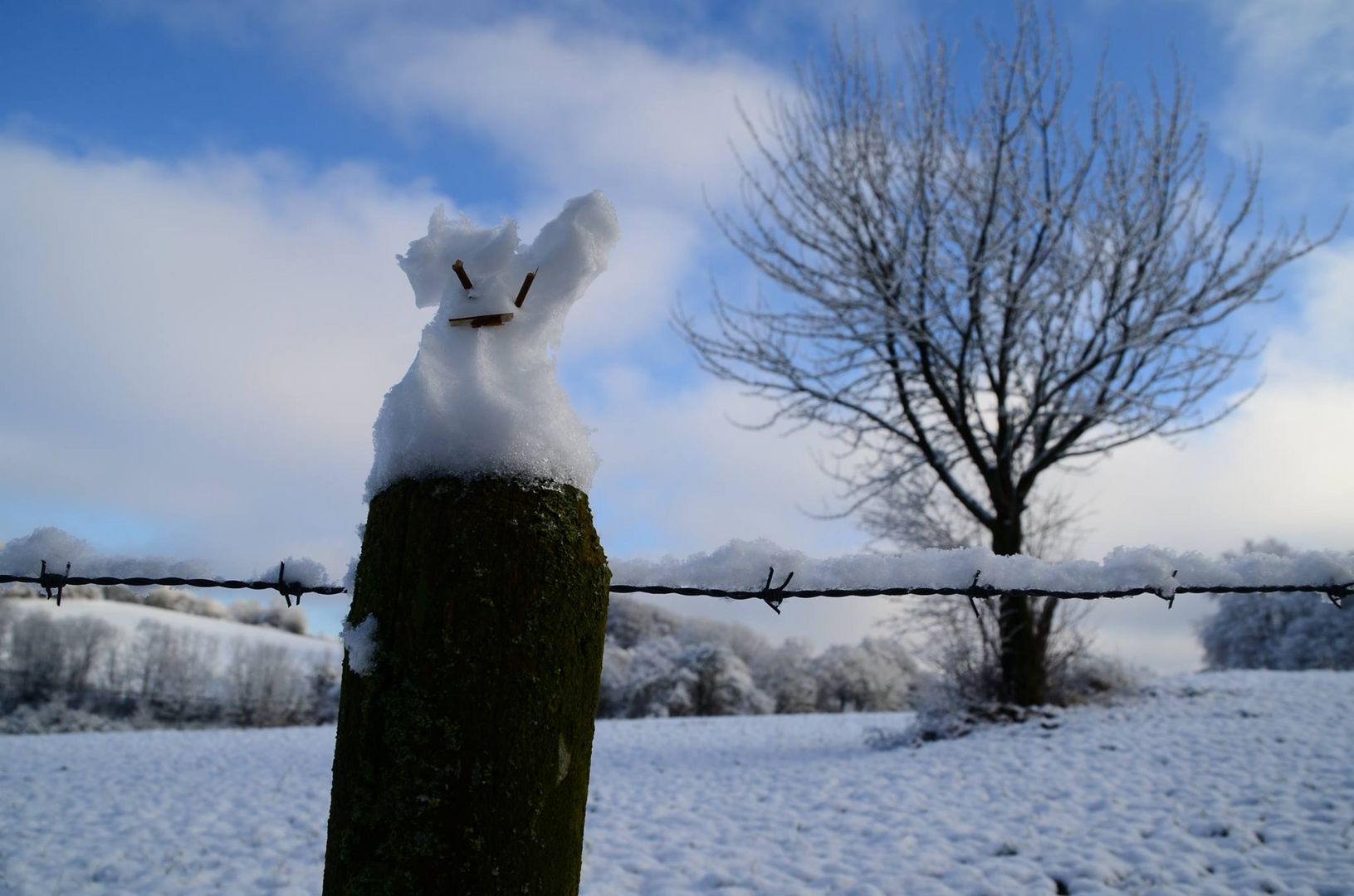 Merry Christmas by Frosty (my) Snowman! :-)