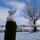 Merry Christmas by Frosty (my) Snowman! :-)