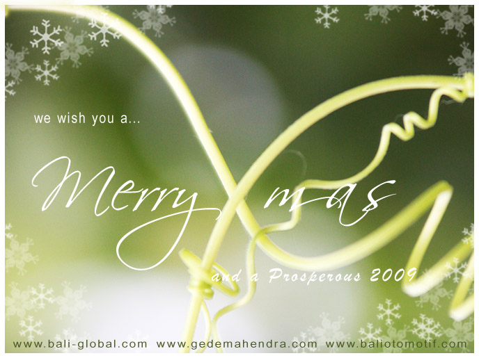 Merry Christmas & Happy New Year 2009