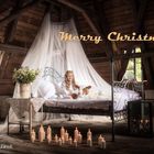 merry christmas-web 2019