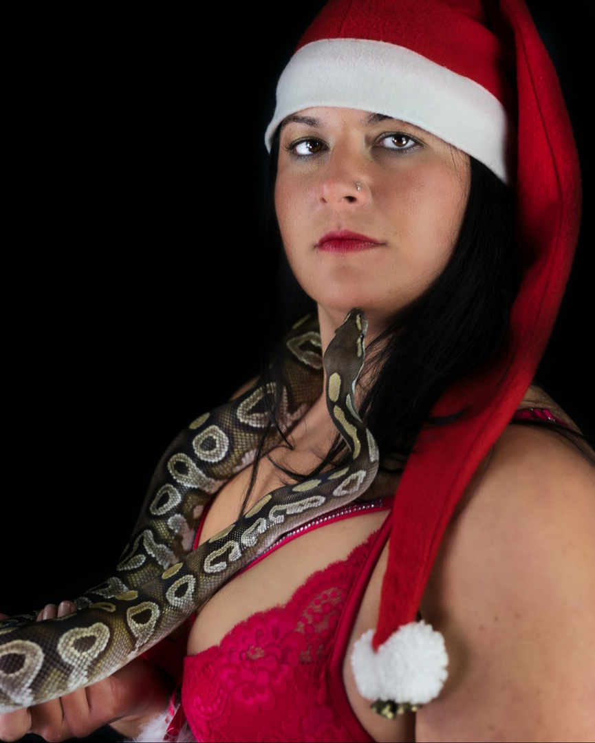 Merry Snakemas