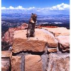 Merry X-mas and a Happy New Year from the Rainbow Point of the Bryce Canyon