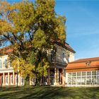 Merseburg, Schlossgartensalon und Orangerie