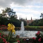 Merseburg (V) - Schlossgarten aus Sicht des Schlossgartensalons