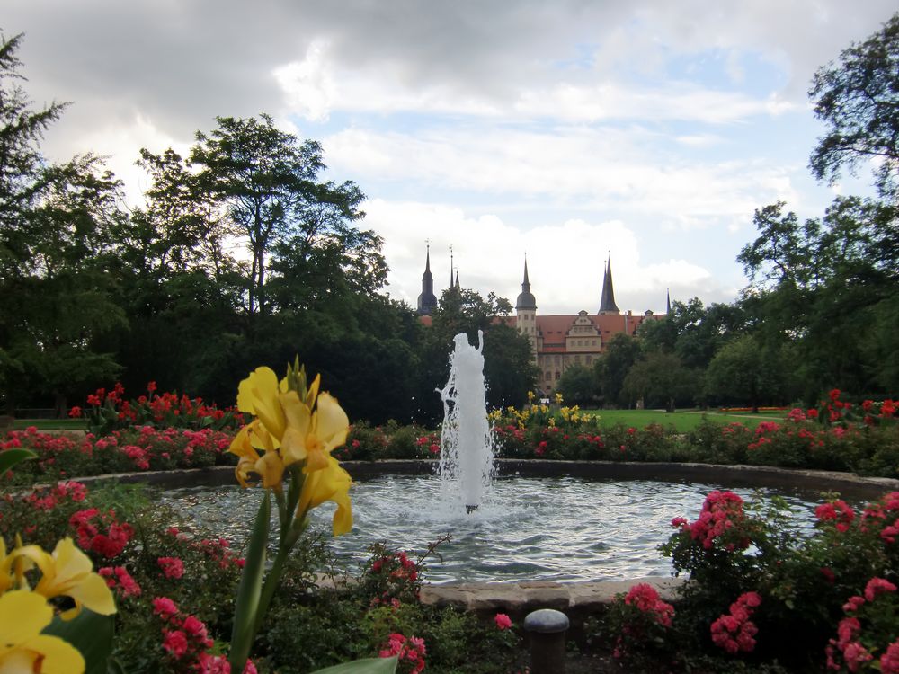 Merseburg (V) - Schlossgarten aus Sicht des Schlossgartensalons