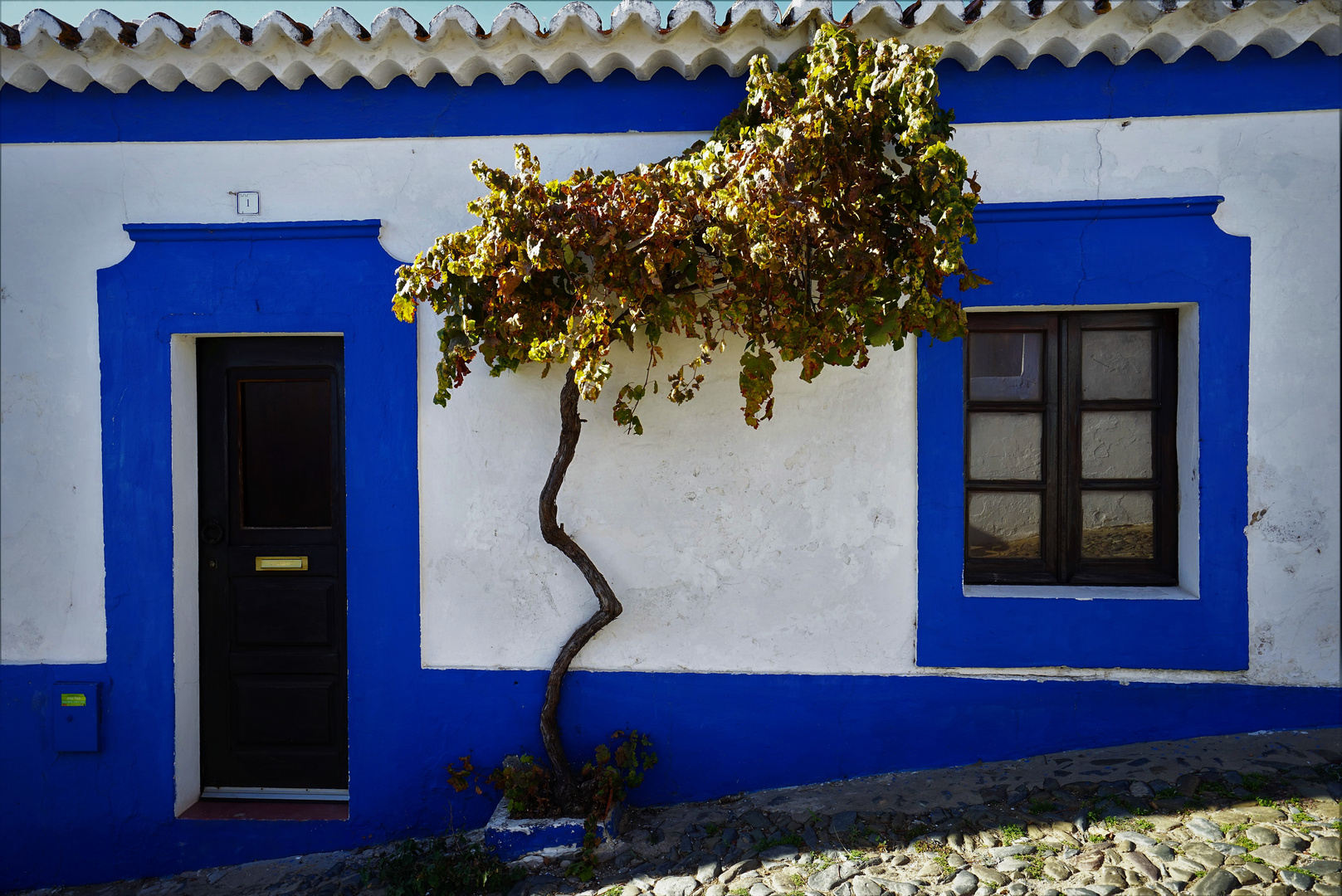 Mértola houses 1