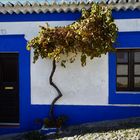 Mértola houses 1