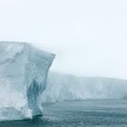 Mertz Glacier, George V Land, Antarctic