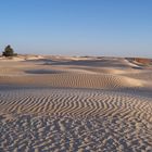Merveille du monde.....le désert tunisien