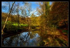 Merveilleuse automne