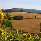 Merveilleuse Toscane