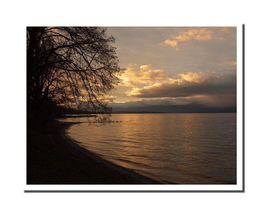 Merveilleux Lac Léman