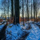 Merzener Wald im Winter