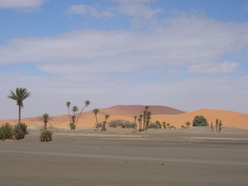 Merzouga Dunes / Southern Morocco