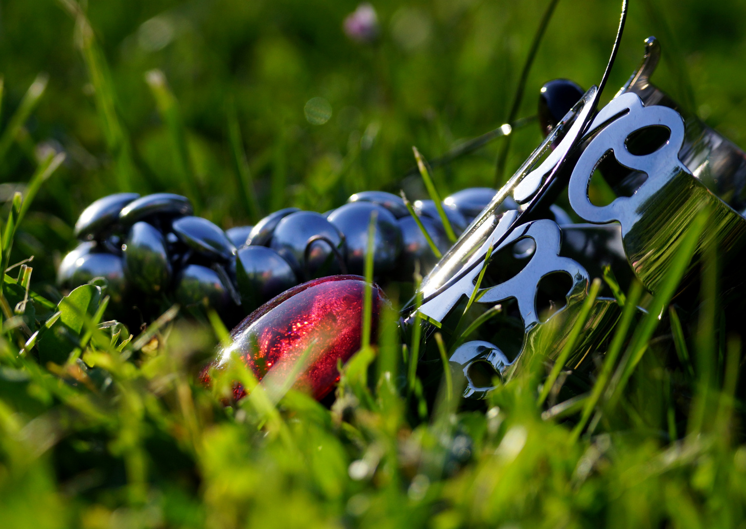 Mes bijoux dans l'herbe !