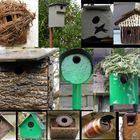 Mes cabanes à oiseaux,2009 a 2011..