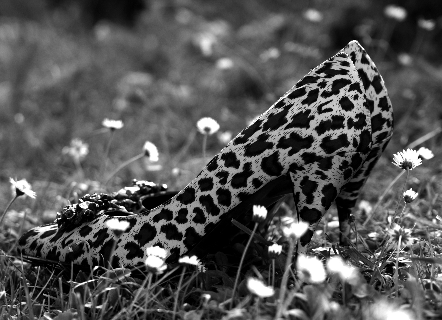 Mes chaussures dans l'herbe