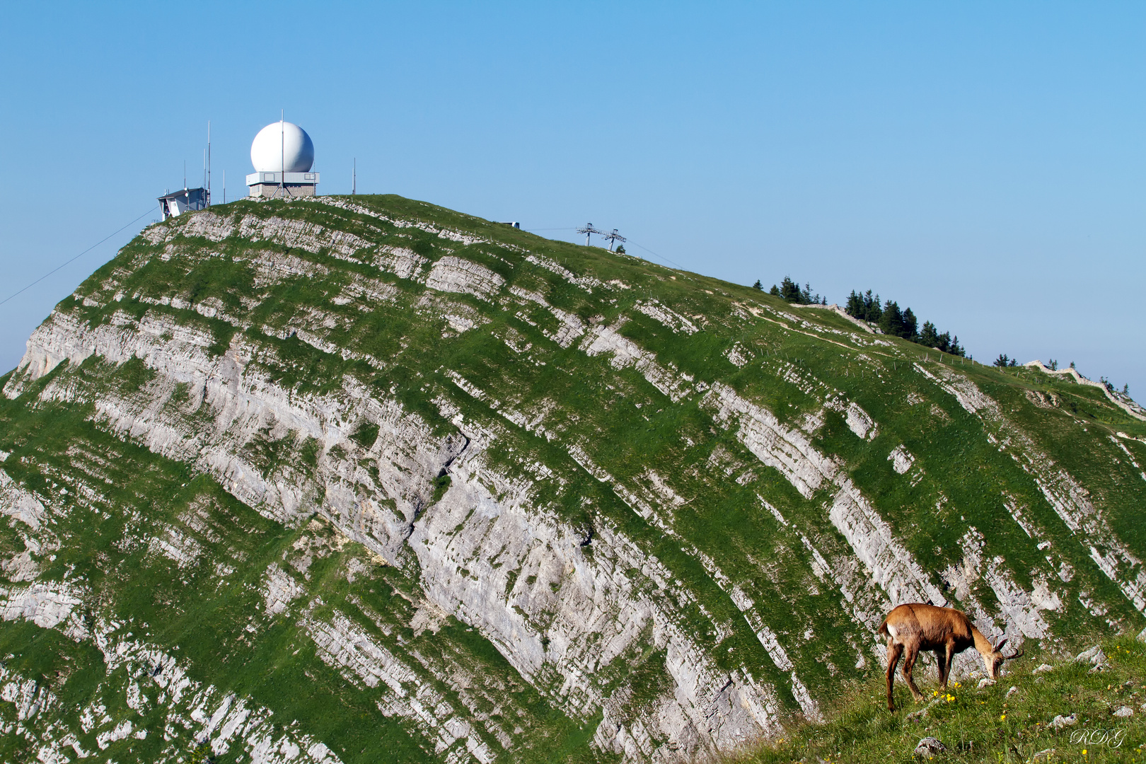 Mes chemins de montagne .