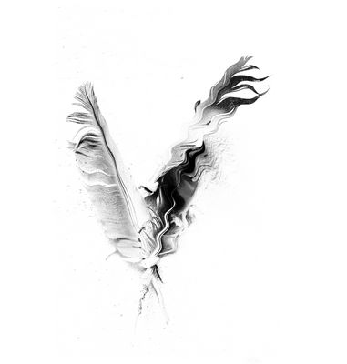 Mes plumes font "pennes" à voir...