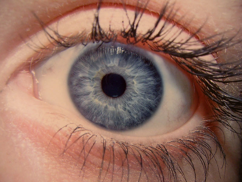 mes yeux bleues