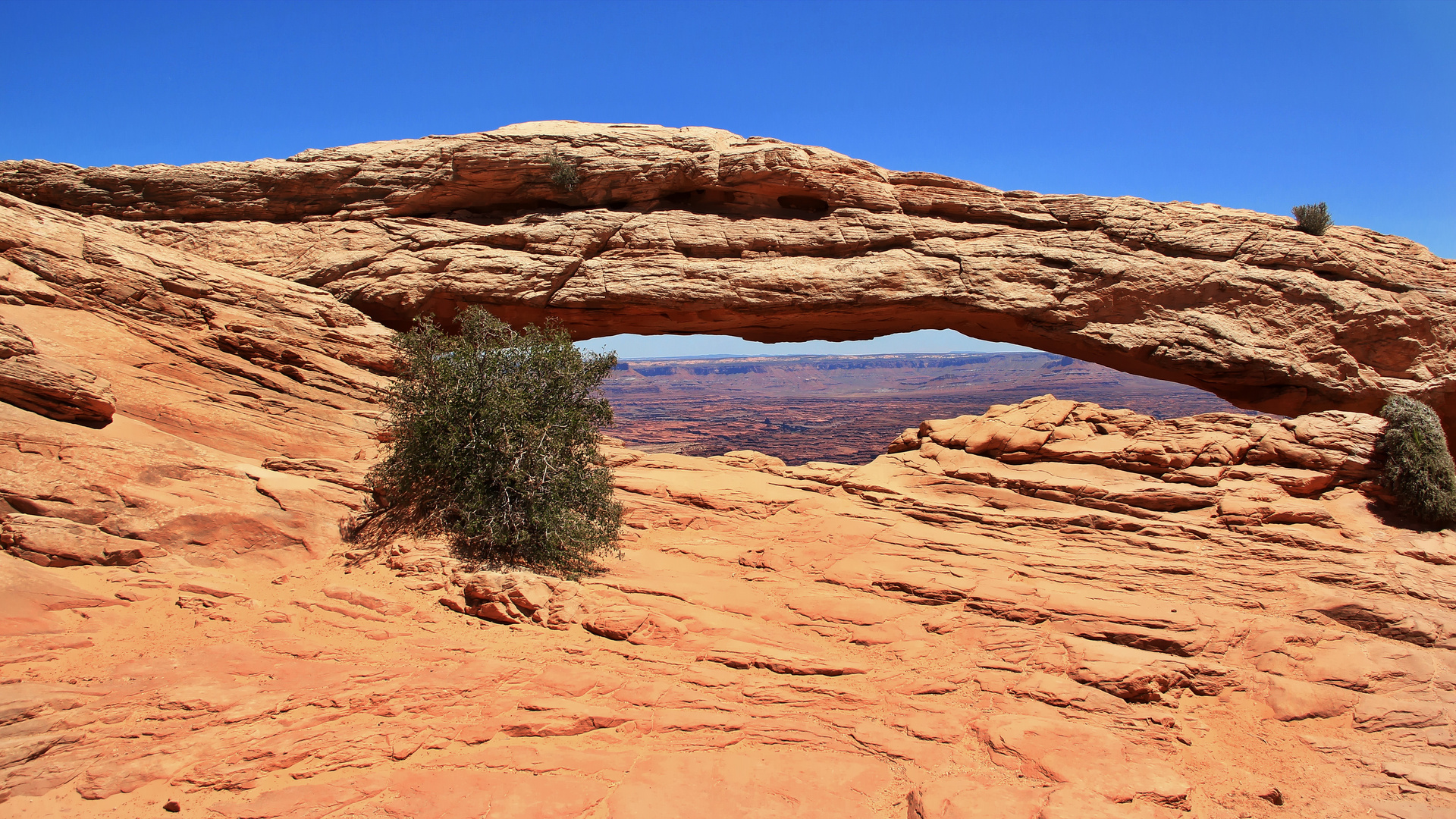 Mesa Arch