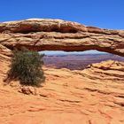 Mesa Arch