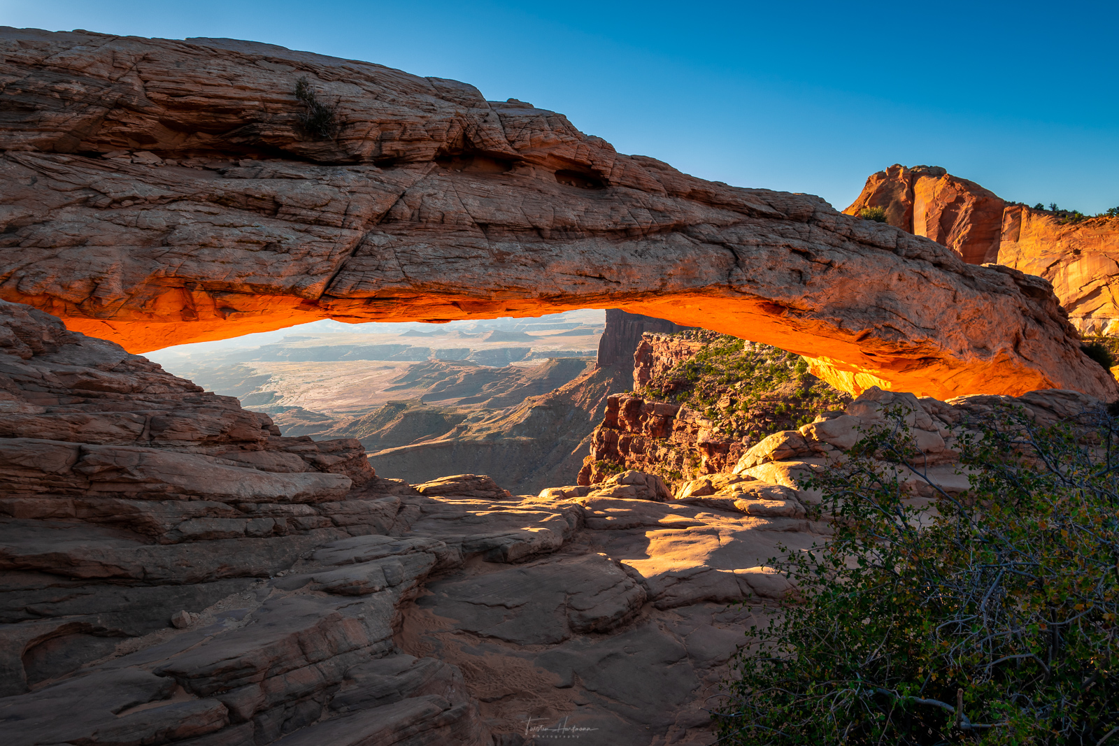 Mesa Arch at sunrise (USA)