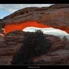 Mesa Arch