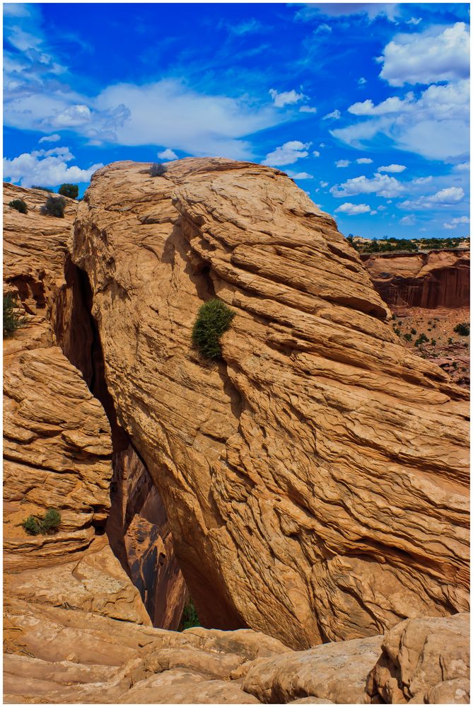 Mesa Arch II