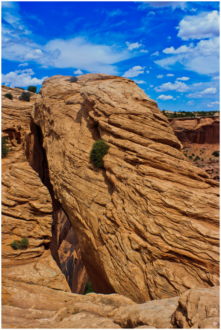 Mesa Arch II