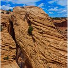 Mesa Arch II