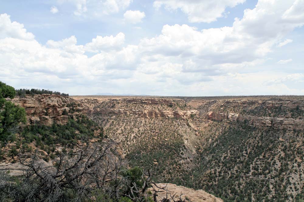 Mesa Verde