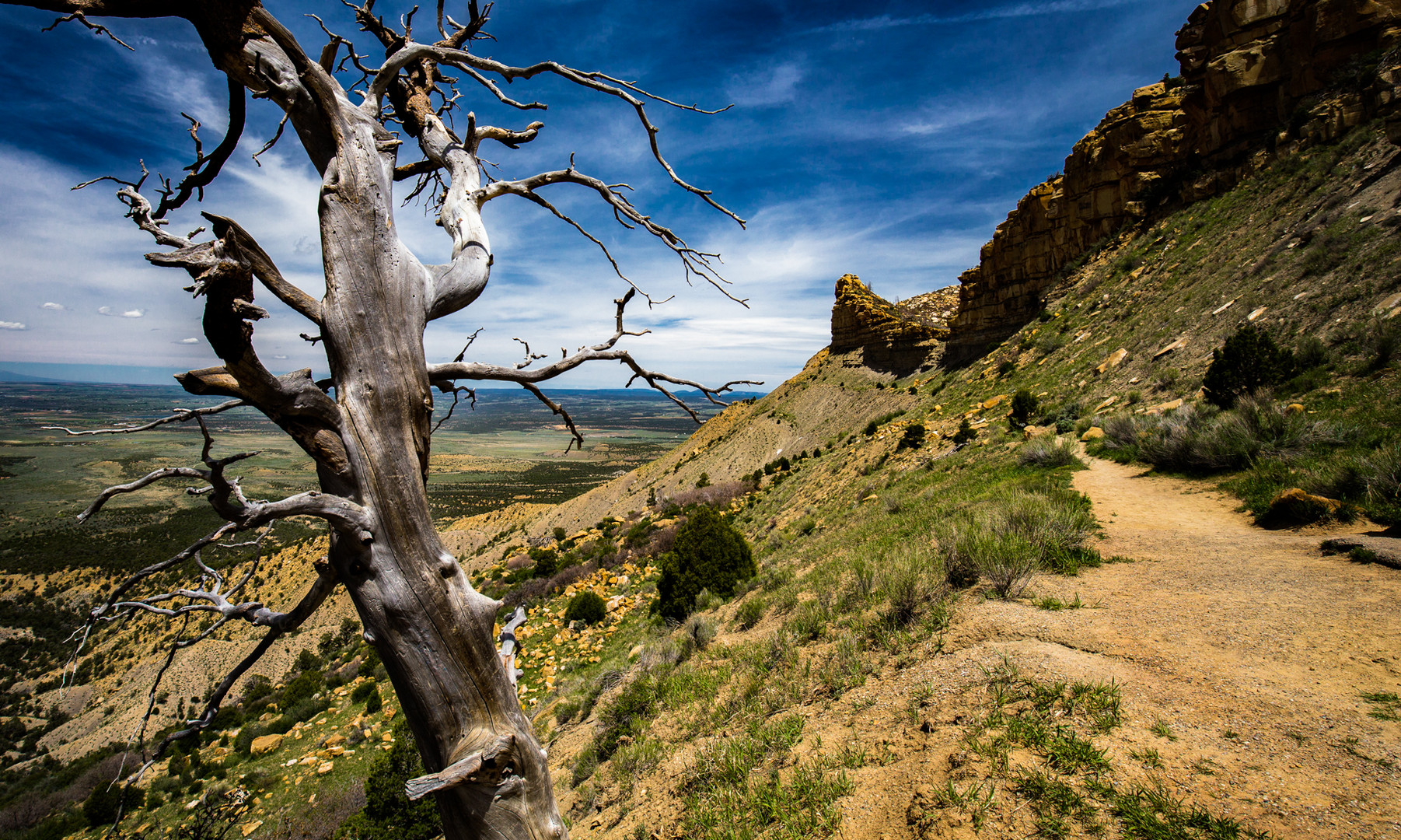 Mesa Verde